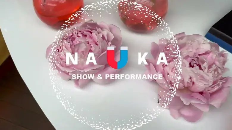 Шоколад с логотипом NAUKA крупным планом
